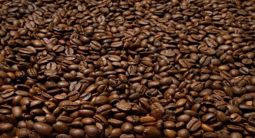 Actuele Koffie Vacatures  Nederland Belgie