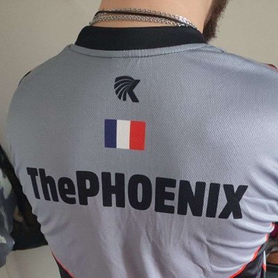 pc  player 28 yo CEO &  fondeur for @WBL_Esport joins mi bro ^^ #WBL_ThePHOENIX 🇫🇷 mail pro : tphoenix632@gmail.com