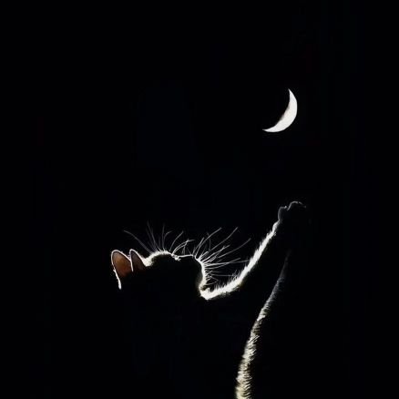 mynameisjijah's profile picture. Didn't have bio