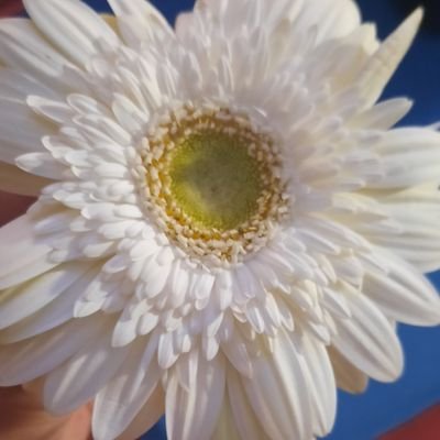 notinmoodrn6969's profile picture. 