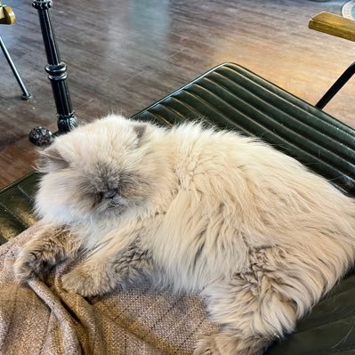 gnayuyy's profile picture. 