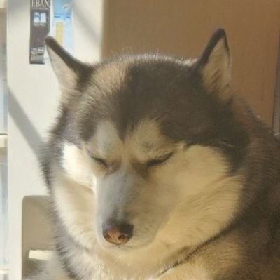 アカツキさんのプロフィール画像