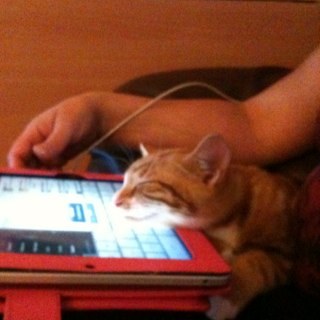 tinacarmen's profile picture. following @deepfriedpisces south London producers