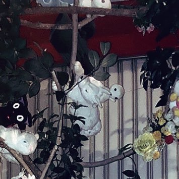 bBgGhOXOY669751's profile picture. 