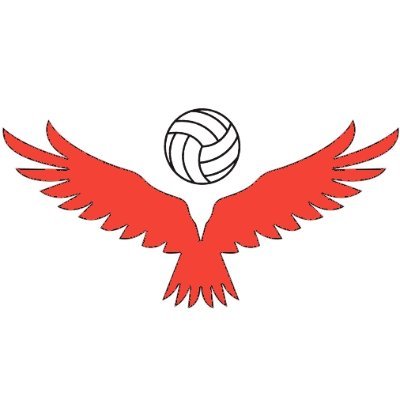 GR_Rise_Report's profile picture. A home for Grand Rapids Rise news, notes, and analysis.