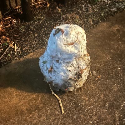 Do7Wxs8M8p54079's profile picture. 