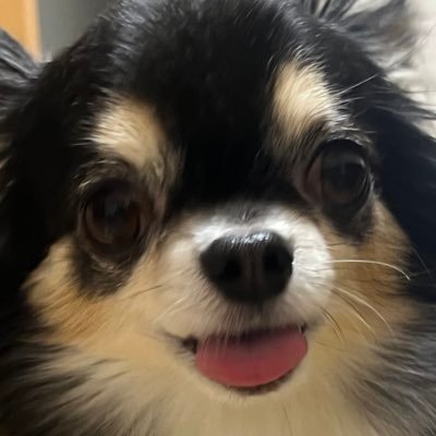 にゅーたっきーさんのプロフィール画像