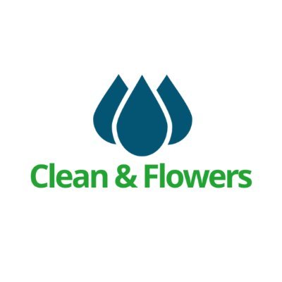 Transforming homes in Naperville with expert cleaning and bespoke floral designs. 🌿🌺 #CleanAndFlowers #EcoFriendly