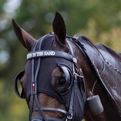 Love harnessracing. My Father was in the business for 45 years. SiameseCats, Make up/Hair,Clothes, And Iron Maiden 🤘 Conservative.#2A #MAGA #Catholic #RIPRush