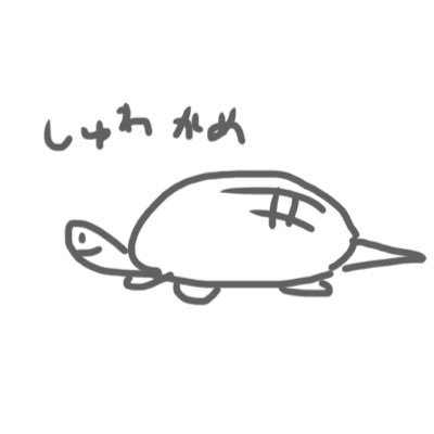 kame🐢さんのプロフィール画像