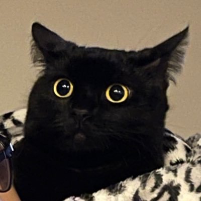 cayaisgay_'s profile picture. i hope u find yourself
