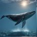 Simple Whale 🐳 (@wwhaleeeeee) Twitter profile photo Simple Whale 🐳 (@wwhaleeeeee) Twitter profile photo