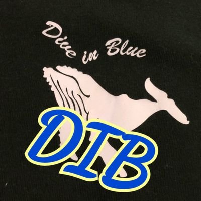 ■ Dive in Blue( #DIB)甲南支部
【甲南大学公認サークル】
 ■ 関西最大級規模 約45大学以上600人の学生が所属
■ 質問などいつでもなんでもDMで受け付けてるよ〜

@dib_scubadiving ⬅️DIB公式