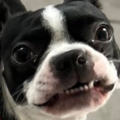 jessbeingsilly's profile picture. here she go again smh