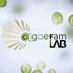 algaeFamLAB | TheChlamyLab at UCO (@algaefamlab) Twitter profile photo algaeFamLAB | TheChlamyLab at UCO (@algaefamlab) Twitter profile photo