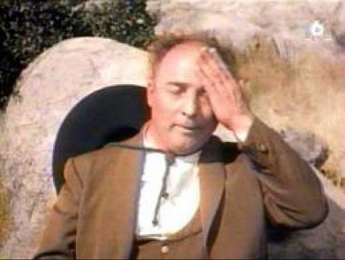 Potazorro's profile picture. 