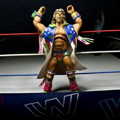 Wrestling Figure Photography - For collectors, by a collector!