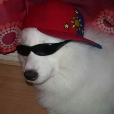 swagdog.com 🐕 🛹さんのプロフィール画像