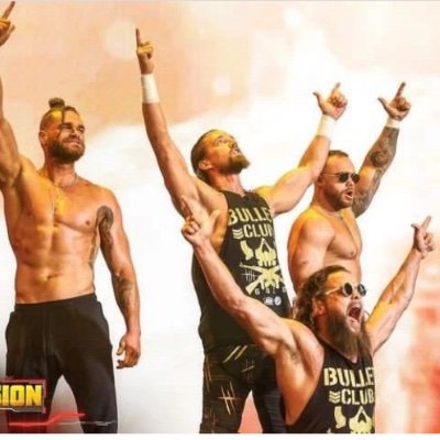 Taken over Pro Wrestling at one promotion at a time.  Signed exclusively to IIW  Members:Jesse James, Mike James, Dallas Davis and Austin Davis.