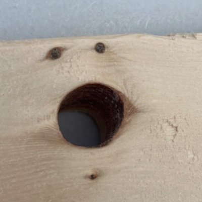 Turtletree45's profile picture. 