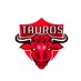 Tauros_.Gaming (@gamingtauros) Twitter profile photo
