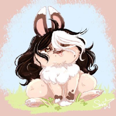 Shinepikapiさんのプロフィール画像
