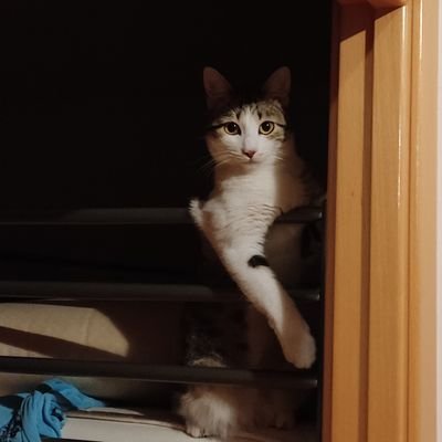 _Flujos's profile picture. Don't stall

Aerospace Engineer