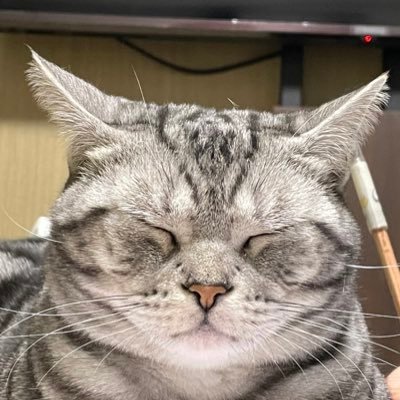 matatabi5866's profile picture. モンスト、ポケモン、ホヨバゲー、モンハン等色々やってます！ストリーマーとかVTuberとかも良く観てます！趣味の合う人は是非仲良くしてください！※注 ツイートは溜めて放つタイプなので、通知オフ推奨 フォロバ激遅マンです(*；ω人)ｺﾞﾒﾝﾈ...