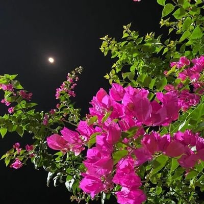 وَ أَحْسِنْ كَمَا أَحْسَنَ اللَّهُ إِلَيْكَ 🥀