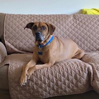 Spike (@pjtozzi109) 's Twitter Profile