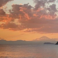 yuki (@yu_painter) Twitter profile photo