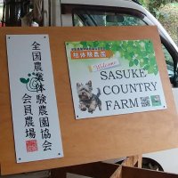 農業体験農園SASUKE_CountryFarm~しょうなん舟雲 (@kashiwa9shonan) Twitter profile photo