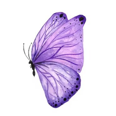 CamFiles 🦋さんのプロフィール画像