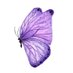 CamFiles 🦋 (@miss_luckity) Twitter profile photo CamFiles 🦋 (@miss_luckity) Twitter profile photo