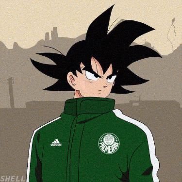 pallmeirense's profile picture. Nordestino, Palmeirense