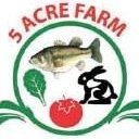 5 Acre Farm Agri-Business is a model farm that deals in tilapia, catfish, fingerlings, poultry, fish and chicken feeds production, BSF and high-end vegetables.