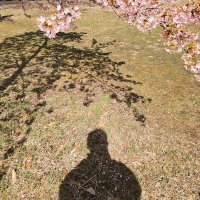 Kouki (@vertrautef28692) Twitter profile photo