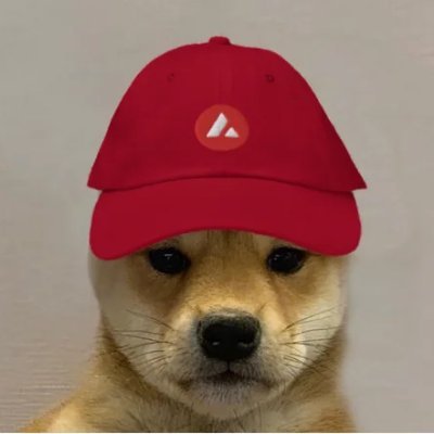 on god, it's just a dog wif hat $WIF $AVAX https://t.co/nYVObejBa8