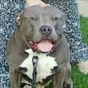 christopher payton - @cmpayton75 - Twitter