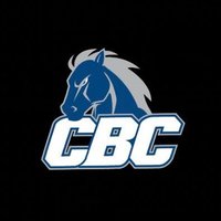 Lady Mustang Softball(@cbcsoftball17) 's Twitter Profile Photo