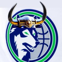 Bull Run(@run_bull_) 's Twitter Profile Photo