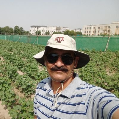 Tehseen1979 Profile Picture