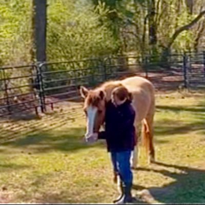 Clinical Social Worker; Equine Assisted Programming & Behavioral Consultant; Fordham U alum; overhaul social work; respect horses & animals; pass the SAFE ACT