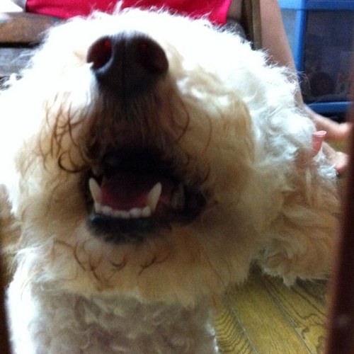 midoppon's profile picture. 