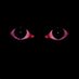 An uncanny pare of cat eyes (@Graycat831) Twitter profile photo