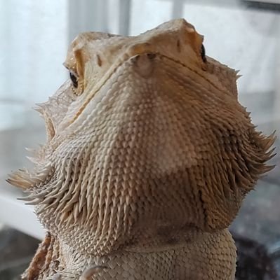 mark05570839's profile picture. 