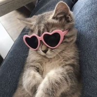 Blue (@blu_moonlit) 's Twitter Profile