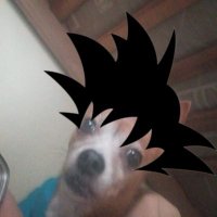 Sebacena (@sebacena_) 's Twitter Profile Photo Sebacena (@sebacena_) 's Twitter Profile Photo