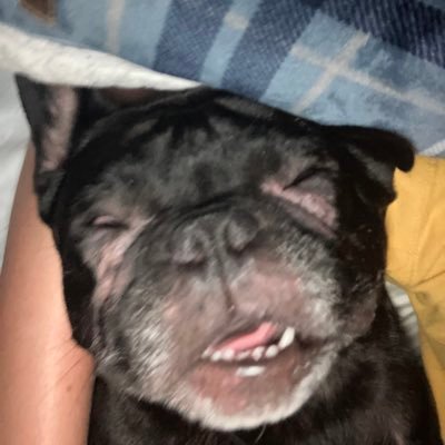 TBC_HYDRA's profile picture. TakeBackControl #add