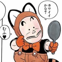 i did it all for tanooki (@raccoonproblems) 's Twitter Profile